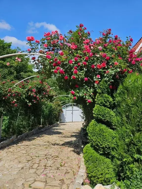Дом в Крым, Алушта муниципальный округ, с. Изобильное пер. Горный, 11А ... - Фото 2