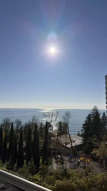 2-к кв. Краснодарский край, Сочи Курортный просп., 105б (60.0 м) - Фото 2