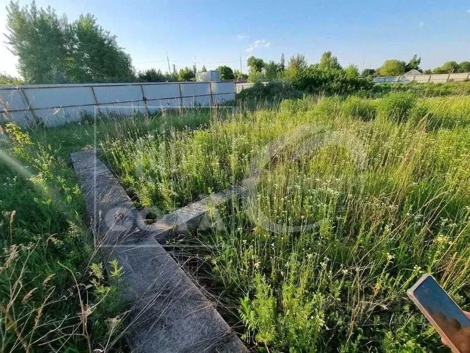 Участок в Воронежская область, Новоусманский район, пос. Отрадное ул. ... - Фото 0