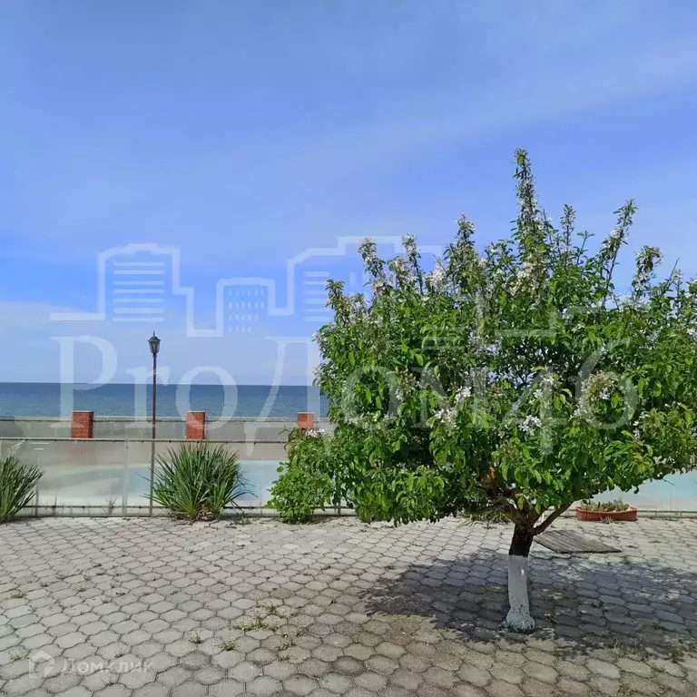 Продаётся 1-к квартира, 17 м - Фото 1