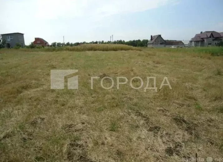 Участок в Новосибирская область, Новосибирский район, Станционный ... - Фото 1