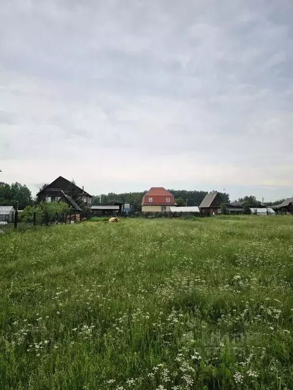 Участок в Московская область, Пушкинский городской округ, д. Дарьино 7 ... - Фото 2