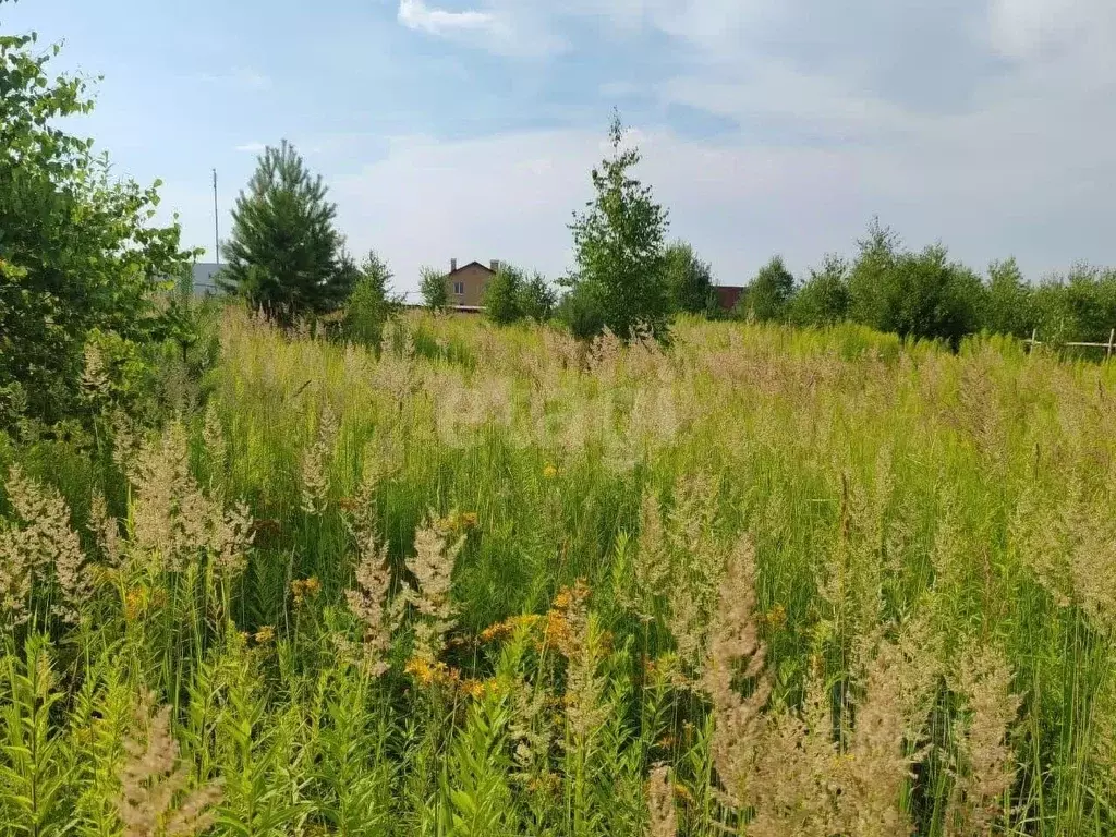 Участок в Нижегородская область, Богородский муниципальный округ, с. ... - Фото 1