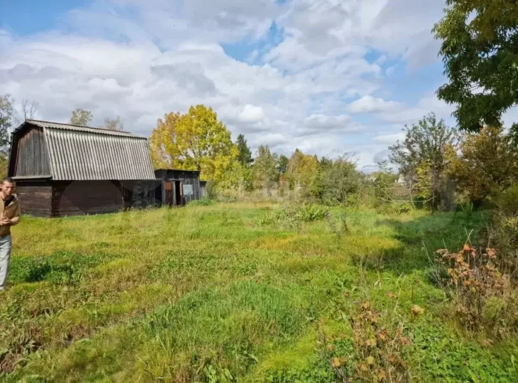 Участок в Еврейская автономная область, Смидовичский район, пос. ... - Фото 2