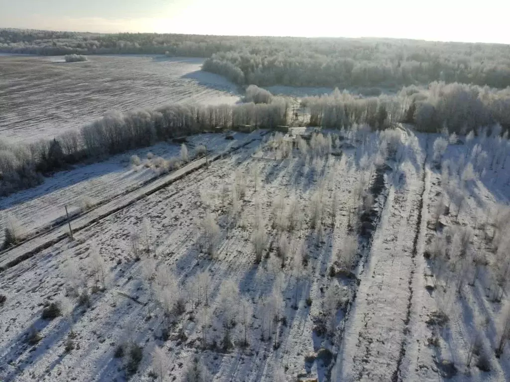 Участок в Вологодская область, д. Жилино ул. 4-я (8.0 сот.) - Фото 1