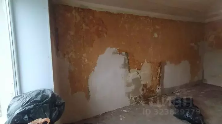 Студия Воронежская область, Воронеж Пеше-Стрелецкая ул., 145 (14.3 м) - Фото 2