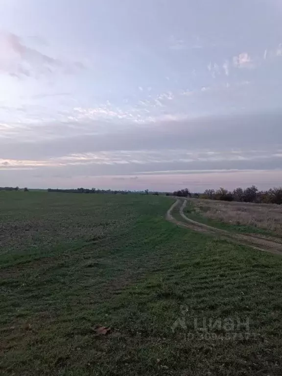 Участок в Крым, Симферопольский район, Николаевское с/пос, с. Ключевое ... - Фото 0