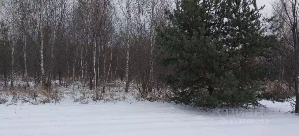 Участок в Московская область, Ступино городской округ, с. Мещерино ул. ... - Фото 0