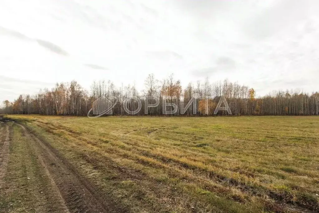 Участок в Тюменская область, Тюменский район, с. Горьковка  (9.8 сот.) - Фото 0