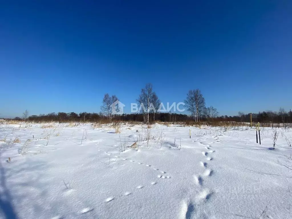 Участок в Сахалинская область, Анивский городской округ, с. Мицулевка ... - Фото 0