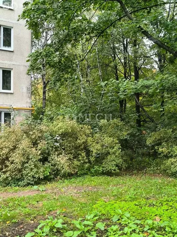 3-комнатная квартира: Москва, улица Полбина, 24 (60.7 м) - Фото 2