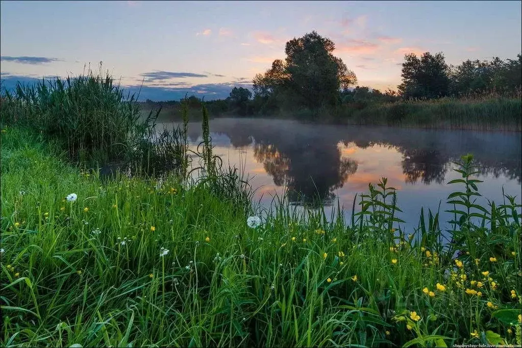 Участок в Пензенская область, Бессоновский район, с. Чемодановка  ... - Фото 1