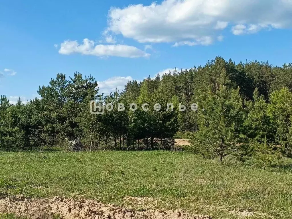 Участок в Рязанская область, Рязанский район, Дубровическое с/пос, с. ... - Фото 1