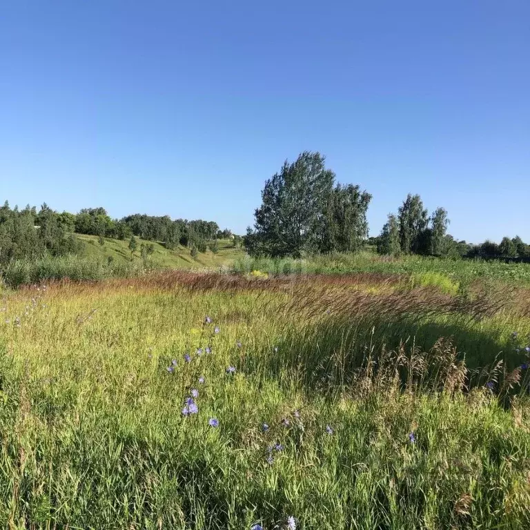 Участок в Брянская область, Брянский район, Глинищевское с/пос, с. ... - Фото 1