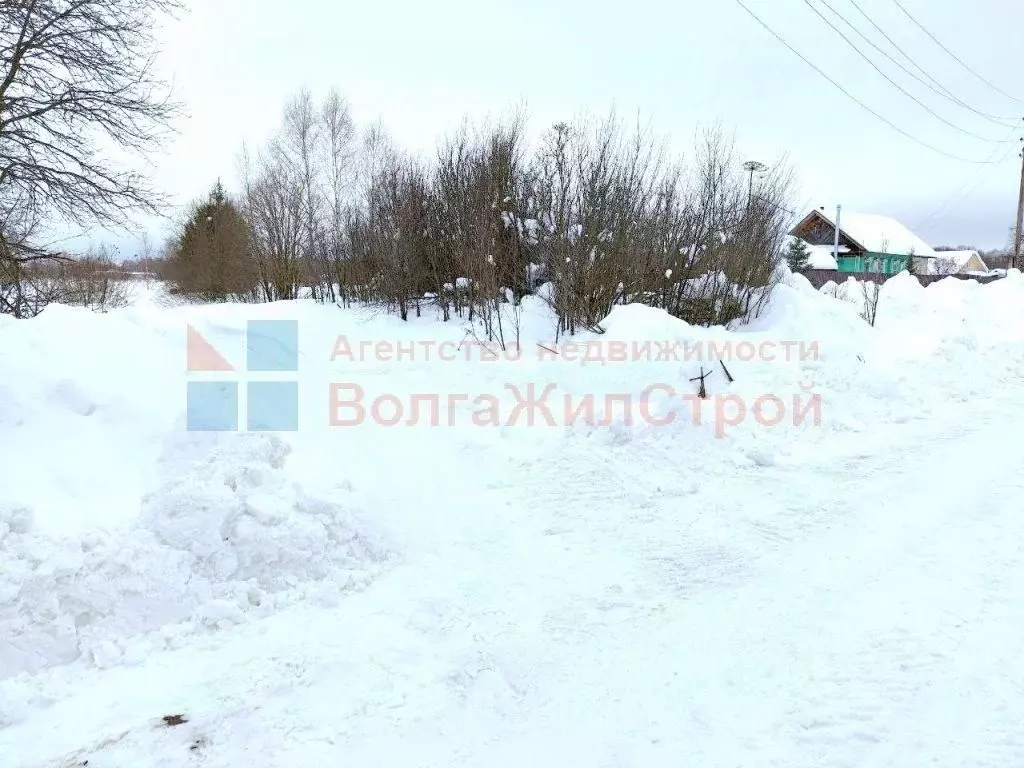 Участок в Нижегородская область, Городецкий муниципальный округ, с. ... - Фото 2