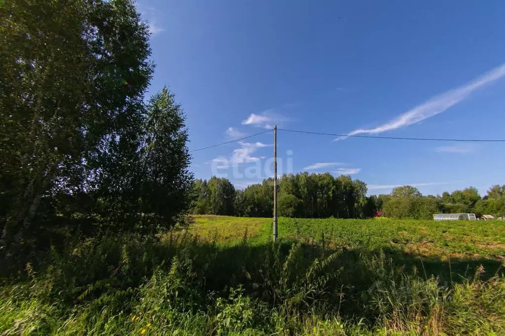 Участок в Томская область, Томский район, Богашевское с/пос, д. ... - Фото 1