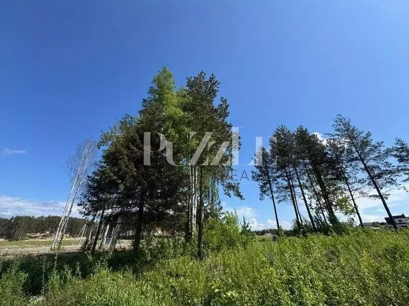 Участок в Ленинградская область, Всеволожский район, Бугровское ... - Фото 2