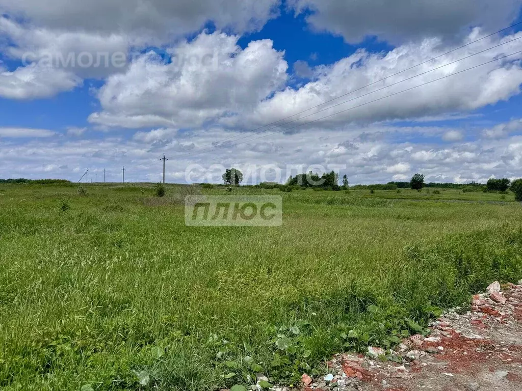 Участок в Калининградская область, Светловский городской округ, пос. ... - Фото 0