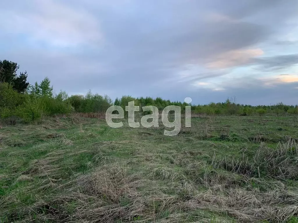 Участок в Свердловская область, Нижний Тагил Ольховский СТ, ул. ... - Фото 0