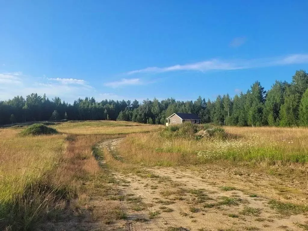 Участок в Ленинградская область, Всеволожский район, Лесколовское ... - Фото 1