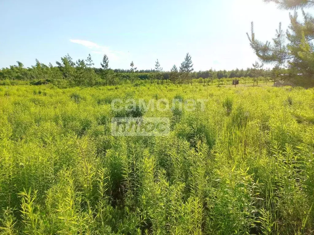 Участок в Нижегородская область, Дальнее Константиново рп пер. ... - Фото 2
