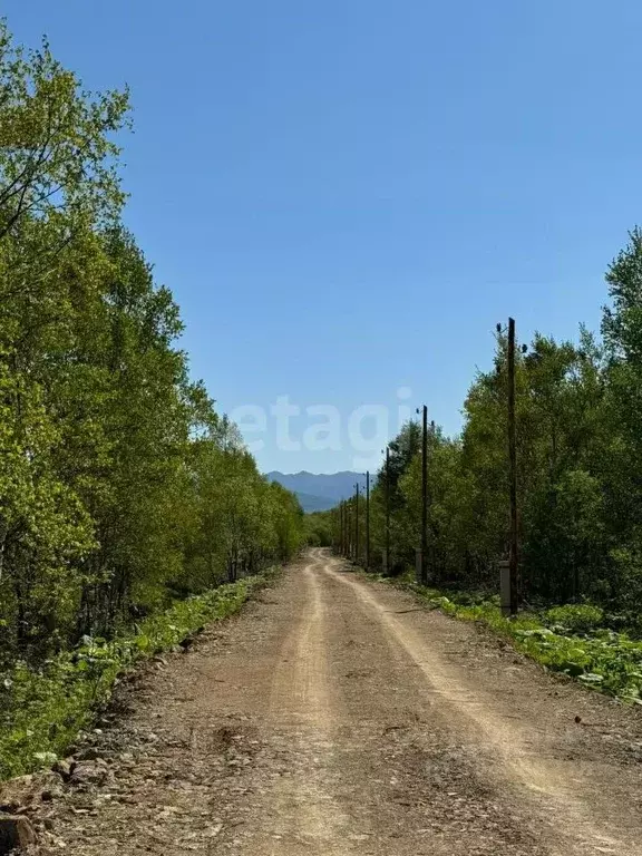 Участок в Сахалинская область, Анивский городской округ, с. Троицкое  ... - Фото 1