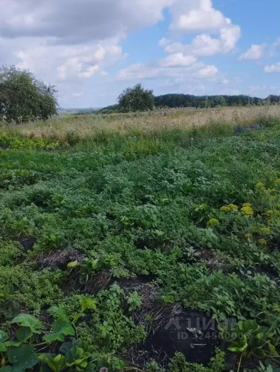 Участок в Белгородская область, Губкинский городской округ, с. ... - Фото 2