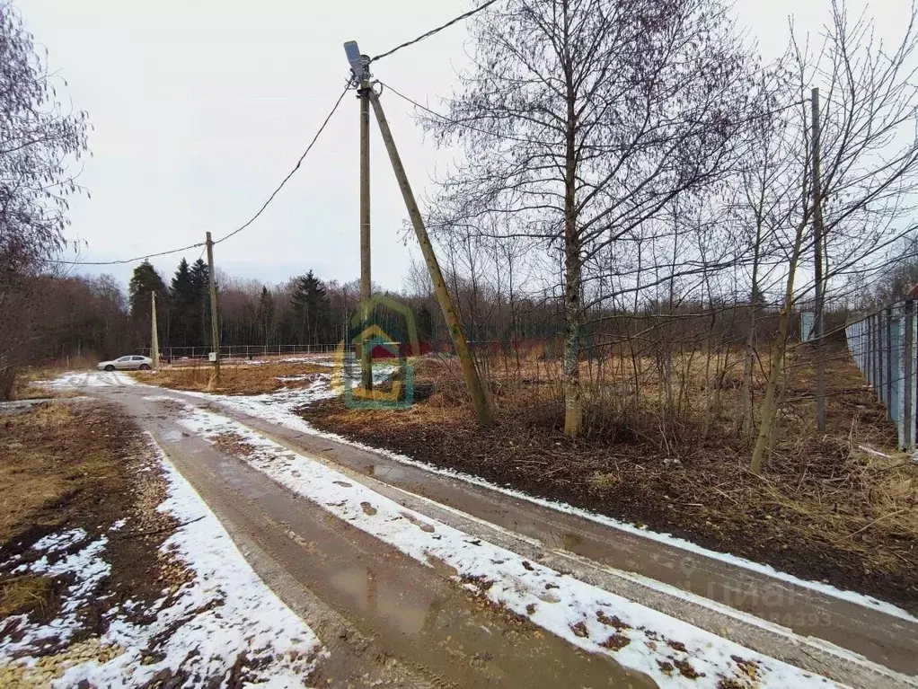 Участок в Ленинградская область, Ломоносовский район, Лопухинское ... - Фото 0