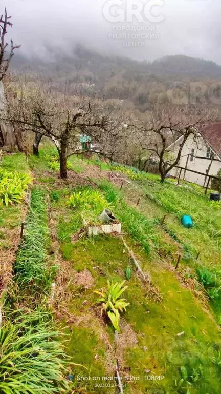 Участок в Краснодарский край, Сочи городской округ, с. Верхний Юрт, ... - Фото 2