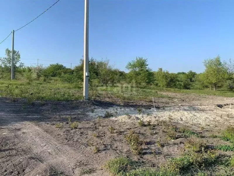 Участок в Краснодарский край, Новороссийск городской округ, ... - Фото 0