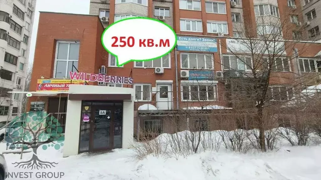 Торговая площадь в Самарская область, Самара ул. Георгия Димитрова, ... - Фото 1