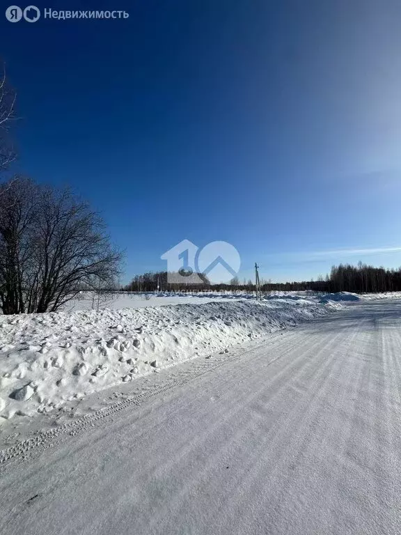 Участок в Плотниковский сельсовет, ДНТ Рябинка, Пихтовая улица, 21 (12 ... - Фото 2