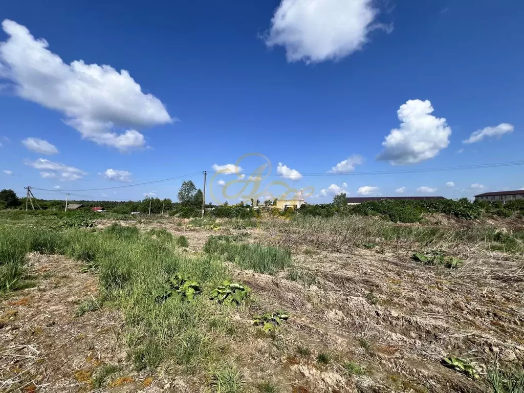 Участок в Московская область, Клин городской округ, д. Давыдково  ... - Фото 2