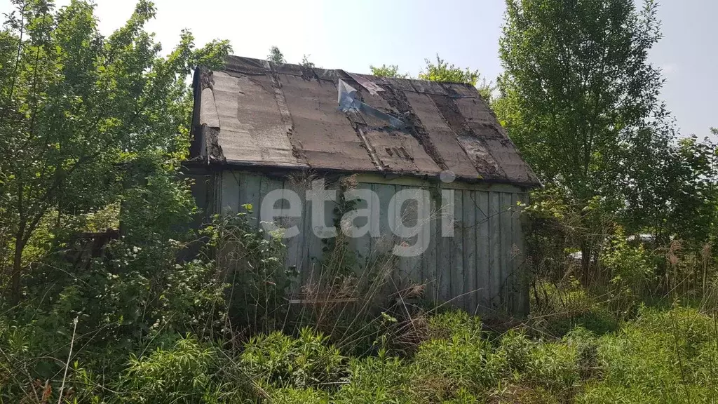 Участок в Брянская область, Брянский район, Снежское с/пос, с. ... - Фото 0