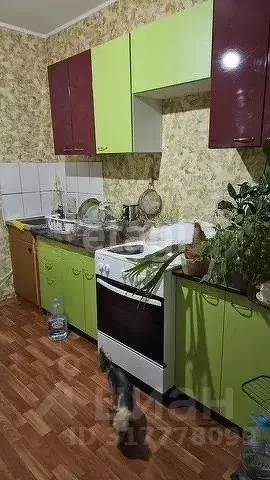 2-к кв. Москва ул. Молодцова, 31К3 (51.1 м) - Фото 0