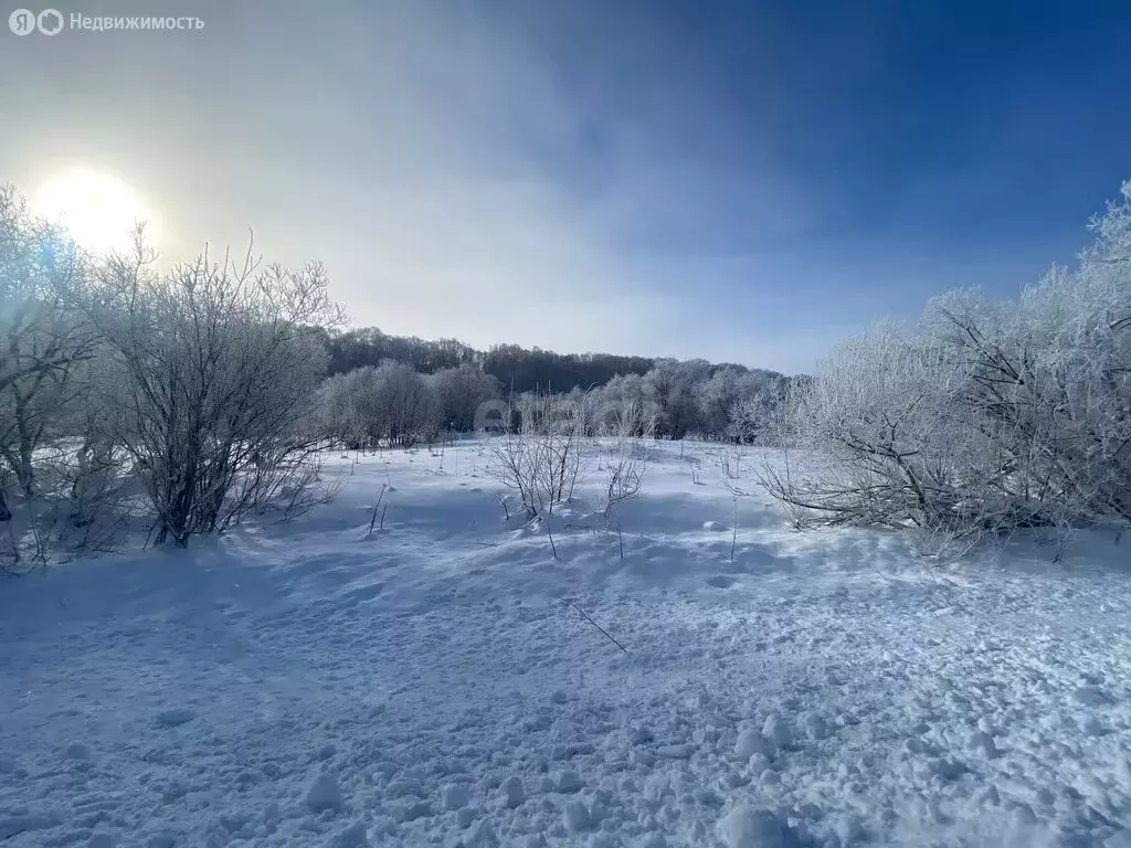 Участок в село Мильково, Советская улица (30.4 м) - Фото 1
