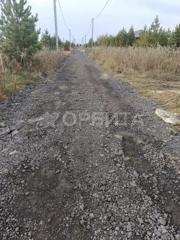 Участок в Тюменская область, Тюменский муниципальный округ, Нефтехимик ... - Фото 2