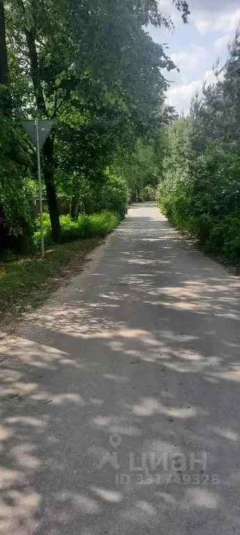 Торговая площадь в Московская область, Люберцы городской округ, ... - Фото 2