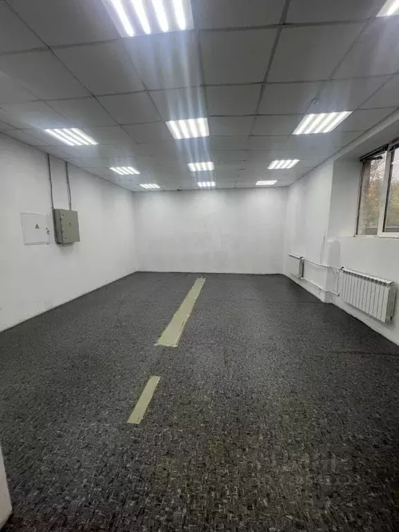 Помещение свободного назначения в Санкт-Петербург ул. Васи Алексеева, ... - Фото 1