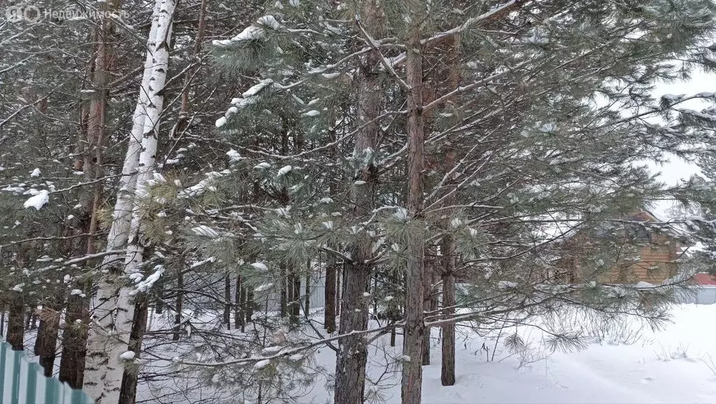 Участок в село Курлек, микрорайон Центральный (9 м) - Фото 1