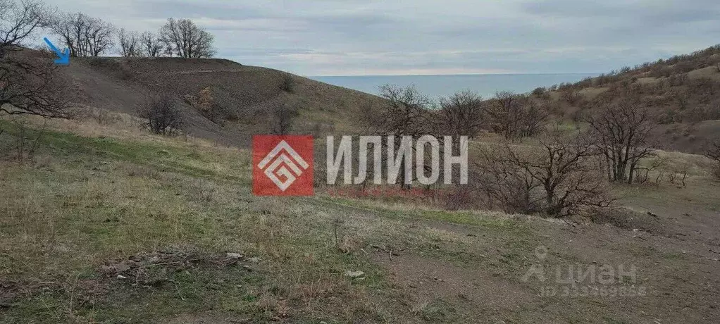 Участок в Крым, Алушта муниципальный округ, с. Приветное ул. Горького, ... - Фото 2