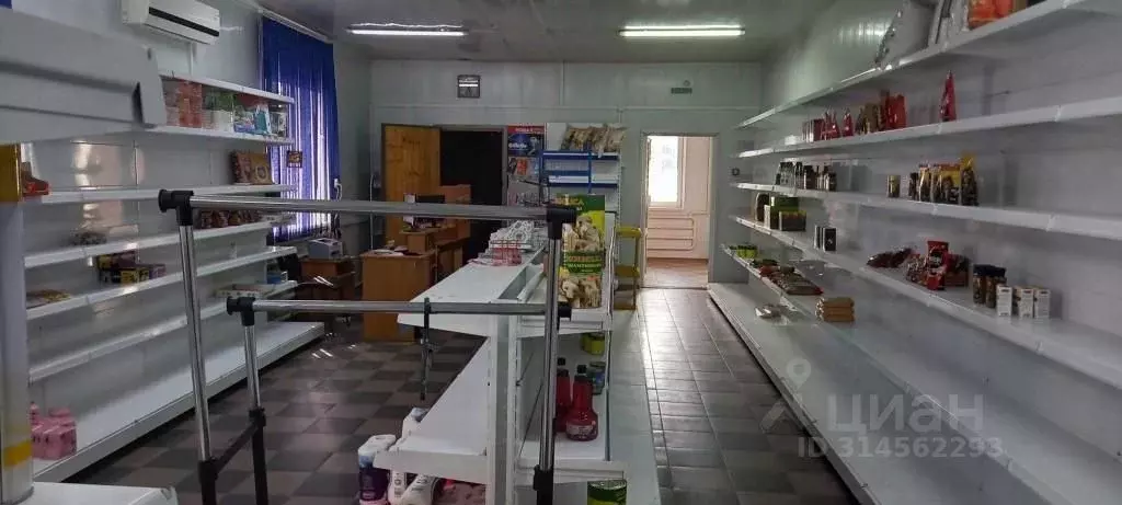 Помещение свободного назначения в Краснодарский край, Динской район, ... - Фото 1