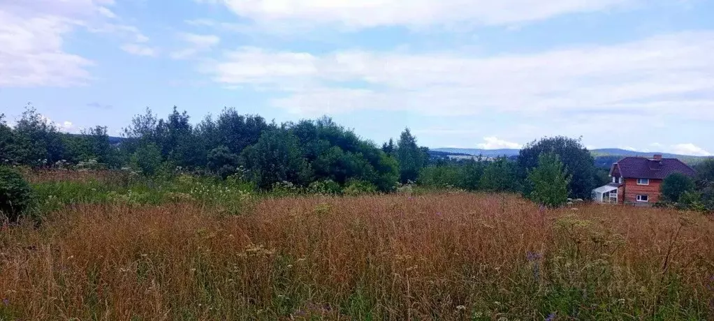 Участок в Свердловская область, Верхний Тагил ул. Демьяна Бедного, 43 ... - Фото 0