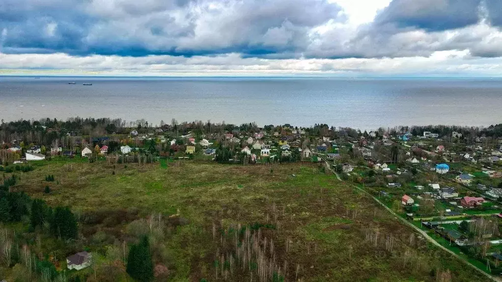 Участок в Ленинградская область, Ломоносовский район, Лебяженское ... - Фото 0