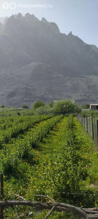 Участок в Черекский район, село Верхняя Балкария (20 м) - Фото 1