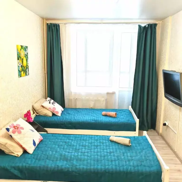 Студия Ленинградская область, Сертолово Всеволожский район, ул. ... - Фото 1