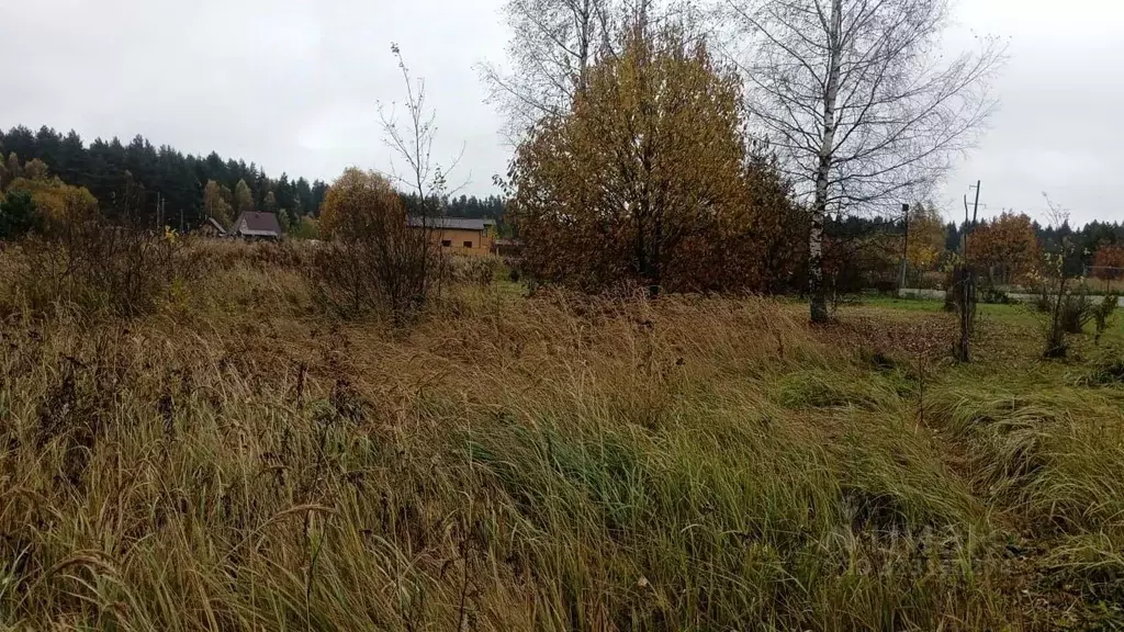 Участок в Московская область, Можайский муниципальный округ, д. ... - Фото 2