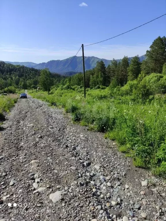 Участок в Алтай, Майминский район, Манжерокское с/пос, с. Озерное ул. ... - Фото 2