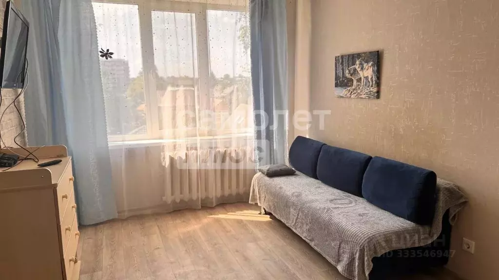 2-к кв. Татарстан, Казань ул. Белинского, 29 (43.2 м) - Фото 2