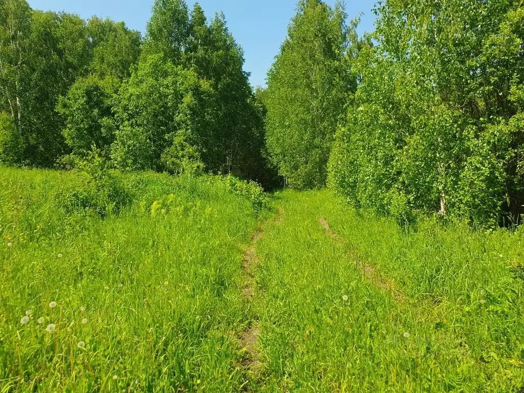 участок в кемеровская область, новокузнецк зеленчиха снт, 224 (5.0 . - Фото 0